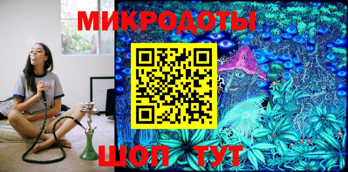 Псилоцибиновые грибы Psilocybine cubensis Осинники